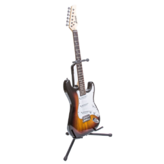 Guitarra Eléctrica Stratocaster EGS111 Persian en internet