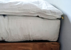Pillow Protector natural con funda desmontable sustentable uso diario en internet