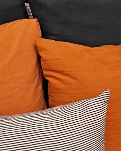 Promo Pack n,23 de almohadones decorativos sustentables con funda - comprar online
