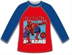 Remera manga larga Spiderman - UV