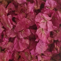 Santa Rita Fucsia