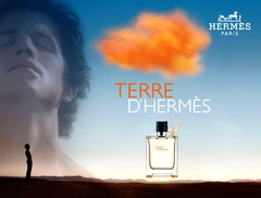 TERRE D' HERMES EDT x 100 ml - Perfumes Lourdes