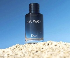 SAUVAGE EDT x 100 ml - Perfumes Lourdes