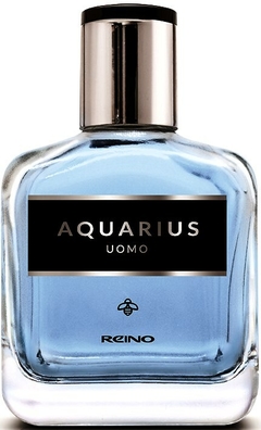 Aquarius Uomo EDP x 110 ml - Reino - comprar online