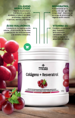 Colágeno + Resveratrol - Reino de la Miel - comprar online