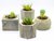 Molde Macetas De Cemento 9x7 / Hexagono Cactus Suculentas