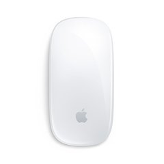 Magic Mouse Sem Fio Apple Mb829am/A Com Superfície Multi-Touch