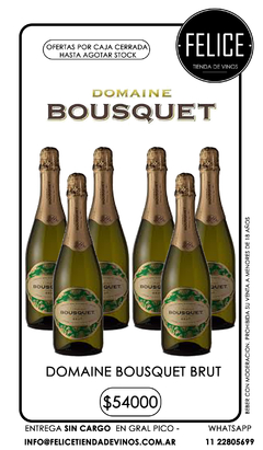 DOMAINE BOUSQUET BRUT