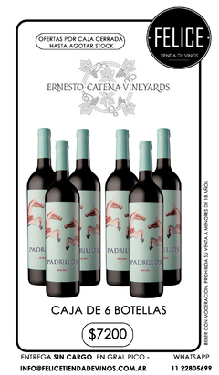 Padrillos Bodega Ernesto Catena