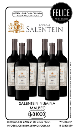 SALENTEIN NUMINA MALBEC