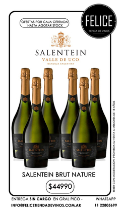 SALENTEIN BRUT NATURE