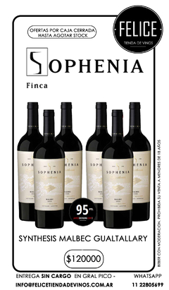 SOPHENIA SYNTHESIS MALBEC