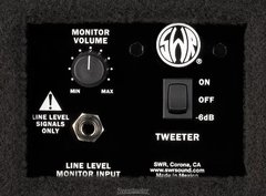 SWR WorkingPro 210C 2x10" Combo Bass Amp en internet