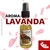 Especial Spray Perfume Aromatizante de Ambientes 30ml ESPECIAL PRODUTO - comprar online