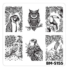 Bundle Monster Nail Art Stamping Plates- BM-S155