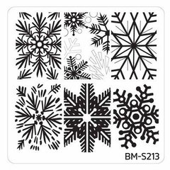Bundle Monster Nail Art Stamping Plates- BM-S213