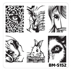 Bundle Monster Nail Art Stamping Plates- BM-S152