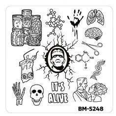 Bundle Monster Nail Art Stamping Plates- BM-S248