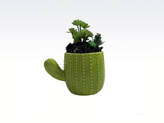 Maceta Cerámica Cactus