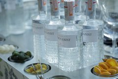 Gin Botanist Islay Dry Gin Elab. Por Bruichladdich 1 Litro. en internet