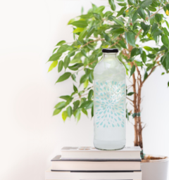 Botella - Flores - ENUNPUNTO tazas y vasos de diseño