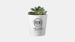 Maceta - Friends will be Friends - comprar online