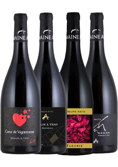 Combo Domaine Anita - 4 grandes vinhos