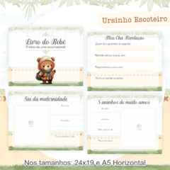 Livro do Bebê - Ursinho Escoteiro - comprar online