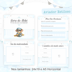 Livro do Bebê - Aviador Estiloso - comprar online