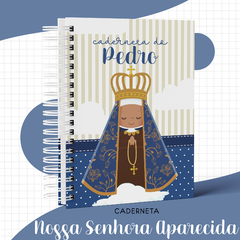 Caderneta de Vacina Menino - Nossa Senhora Aparecida