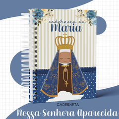 Caderneta de Vacina Menina - Nossa Senhora Aparecida