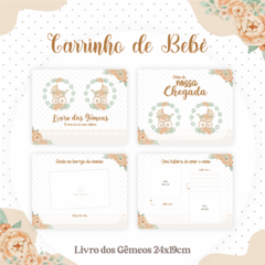 Livro dos Bebês - Carrinho de Bebê - comprar online