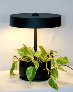 Lampara Botánica de Mesa - tienda online