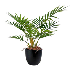 Planta artificial FA205