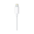 Imagen de AURICULARES MANOS LIBRES COMPATIBLE IPHONE 11 12 13 14 PRO MAX