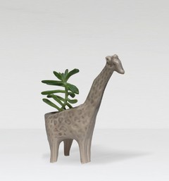 Maceta jirafa con planta en internet