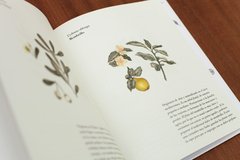 Libro ¨Soy un jardín¨