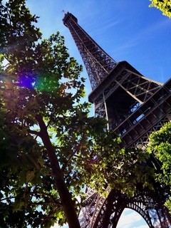 Gigantografía "Tour Eiffel Spring" en internet