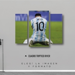 Cuadros Tripticos Irregulares Messi Copa America 2021 #60