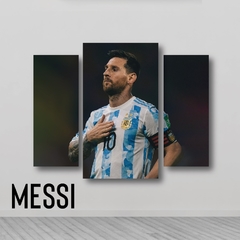 Cuadros Tripticos Irregulares Messi Copa America 2021 #51