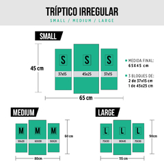 Cuadro Triptico Irregular Estudiantes de la Plata #67 - comprar online