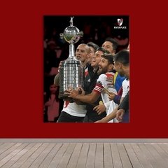 Cuadros Rectangulares River Plate Copa 2018
