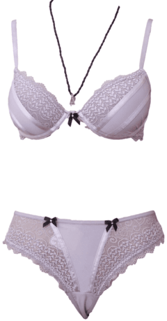 Lingerie sutiã soutien calcinha biquini