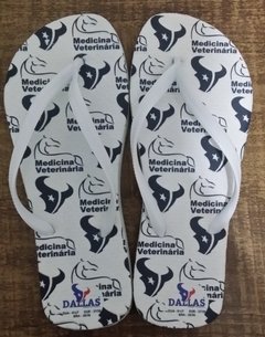 Chinelo - Medicina Veterinária