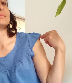 Blusa Frida Azul en internet