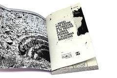 Andei por entre as frestas e te trouxe flores, pedras e algumas miudezas por Paulo Crumbim