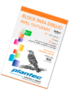 Block Plantec Encolado A3 350 grs (15663)