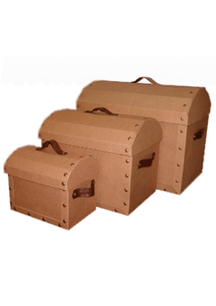 Caja Cofre Microbox
