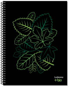 Cuadernillo A4 Ledesma +Bio Ecológico - comprar online