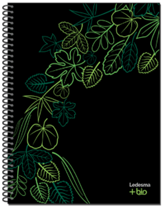 Cuadernillo A4 Ledesma +Bio Ecológico